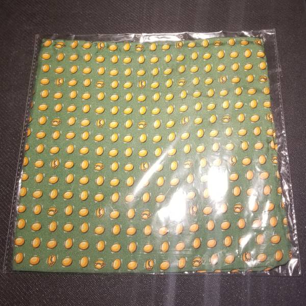 Bird Dog Bay Clay Day Pocket Square - Green 1 Bird Dog Bay Clay Day Pocket Square - Green