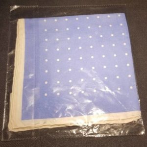 Bird Dog Bay Classic Spots Pocket Square - Blue