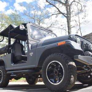 Mahindra ROXOR Off Road - Preserve Edition