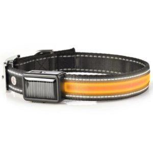 Brite Strike Lighted Dog Collar
