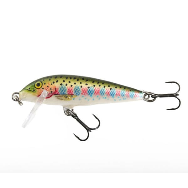 Rapala Count Down 05 Lure Rainbow Trout 1 Rapala Count Down 05 Lure Rainbow Trout