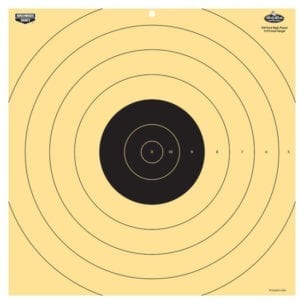 Birchwood Casey Dirty Bird Multi-Color 17.75" Target