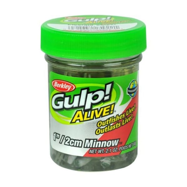 Gulp! Alive! Minnow 1" Emerald Shiner 1 Berkley Gulp! GAJMI1-ES, 1" Minnow Emerald Shad