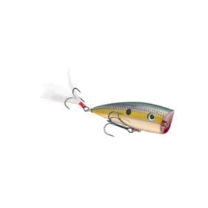 Strike King KVD Splash Topwater
