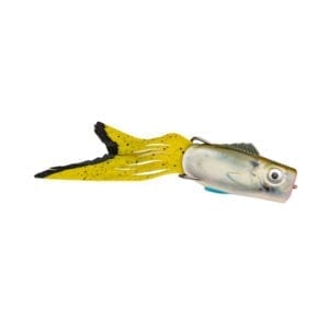 Strike King KVD Topwater Lure Pop'n Perch Natural Shade