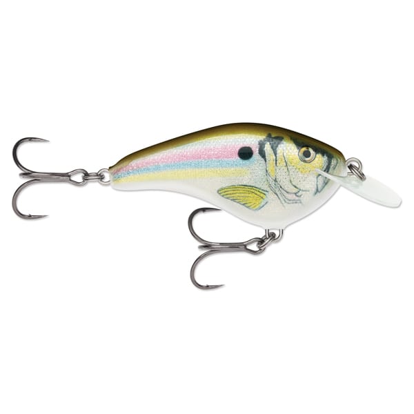 Rapala OG Slim 6 Crankbait - Live River Shad 1 Rapala OG Slim 6 Live River Shad Slim Hard Bait