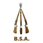 Birmingham Small Arms Company