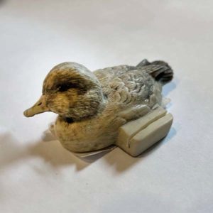 DeLodzia Duck in Calm Waters
