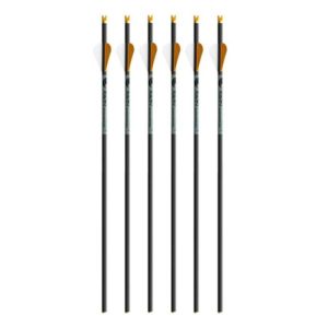 Ravin R500 Carbon Arrows .003" 400 Grain Arrow Pack of 6