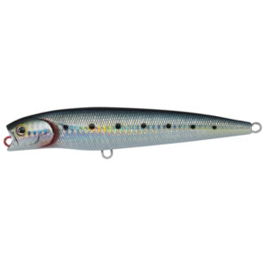 Daiwa Saltiga Dorado Pencil Floating Fishing Lure - Maiwashi