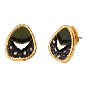 Brackish Cascade 2.0 Emerald, White, and Black Feather Stud Earrings in Gold Frame