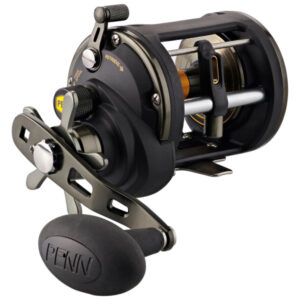 Penn Squall II Level Wind Conventional Fishing Reel, SQLII20LW