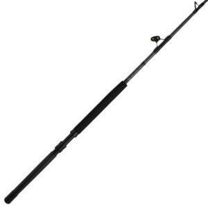Penn Ally II Straight Butt Conventional Boat Rod, ALLYBWII5080C60RS