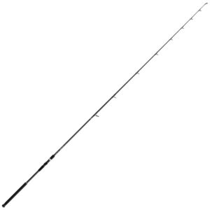 Daiwa Emblem Pro Surf Spinning Rod