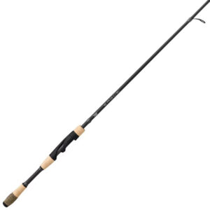 Fenwick Eagle Bass Spinning Rod