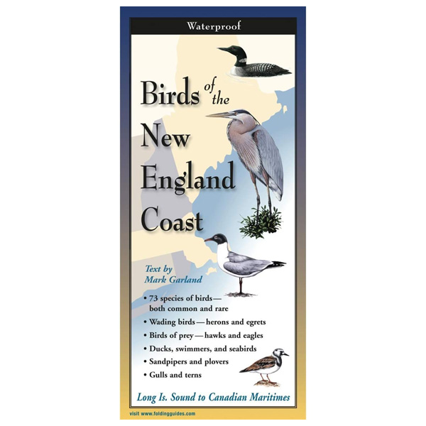 Earth Sky + Water Birds of the New England Coast Folding Guide 1 Earth Sky + Water Birds of the New England Coast Folding Guide (Closed)