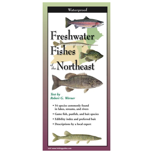 Earth Sky + Water Freshwater Fishes of the Northeast Folding Guide 1 Earth Sky + Water Freshwater Fishes of the Northeast Folding Guide (Closed)