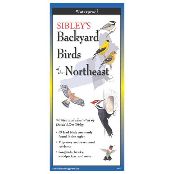 Earth Sky + Water Sibley's Backyard Birds of the Northeast Folding Guide 1 Earth Sky + Water Sibley's Backyard Birds of the Northeast Folding Guide (Closed)