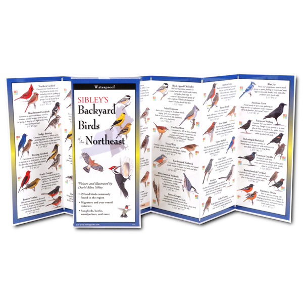 Earth Sky + Water Sibley's Backyard Birds of the Northeast Folding Guide 2 Earth Sky + Water Sibley's Backyard Birds of the Northeast Folding Guide (Open)
