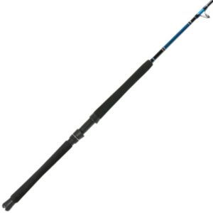 Shimano Talavera Boat Casting Rod