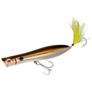 Tsunami Talking Popper XD Fishing Lure - Bunker