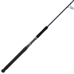 Shimano Tallus PX Spinning Rod