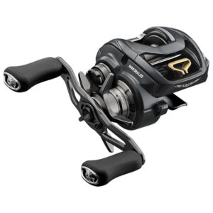 Daiwa Steez A 100 Baitcasting Reel