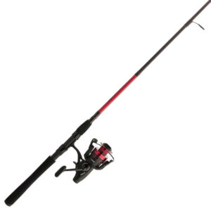 Penn Fierce IV Live Liner Spinning Rod and Reel Combo