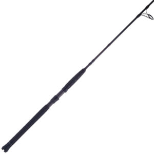 Penn Battalion II Inshore Spinning Rod