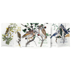 Field Notes Birds and Trees of North America, Pack A