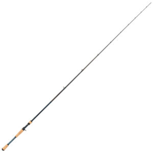 Lew's LFS Casting Rod