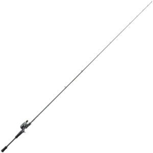 Shimano Caius Baitcasting Combo