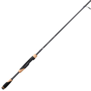 Fenwick World Class Bass Spinning Rod