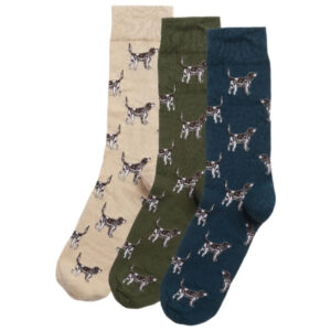 Barbour Pointer Dog Socks Gift Box - Forest Mist