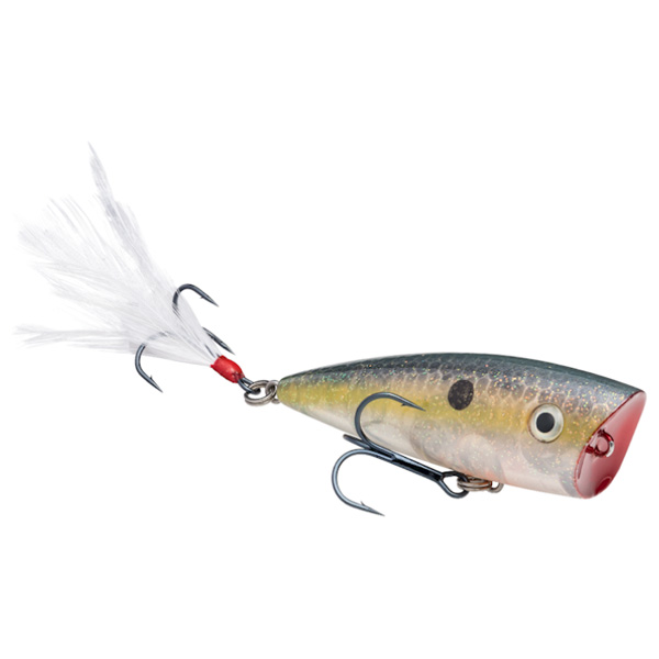 Strike King KVD Splash Jr Topwater Fishing Lure - Clear Ghost Sexy Shad 1 Strike King KVD Splash Jr Topwater Fishing Lure - Clear Ghost Sexy Shad