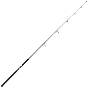 Jigging World Ghost Hunter Popping Spinning Rod