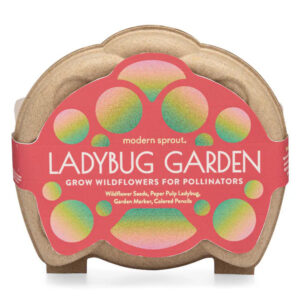 Modern Sprout Curious Critters Garden Kit - Ladybug