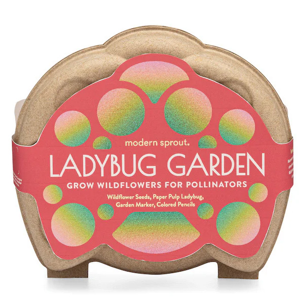 Modern Sprout Curious Critters Garden Kit - Ladybug 1 Modern Sprout Curious Critters Garden Kit - Ladybug