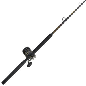 Penn Squall II Level Wind Conventional Rod and Reel Combo