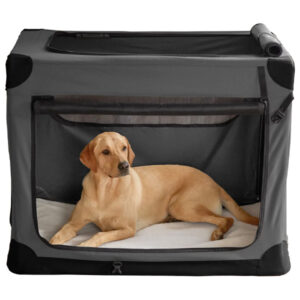 Orvis Hose-Off Folding Travel Dog Crate