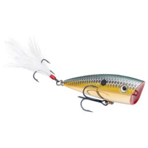 Strike King KVD Splash Jr Topwater Fishing Lure - Gold Sexy Shad