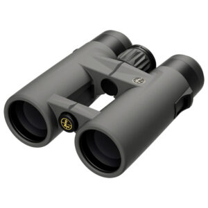 Leupold BX-4 Pro Guide HD Gen 2 42mm Binoculars