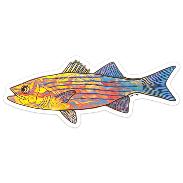 Rainy Dayz Creative Funky Striped Bass Sticker 1 Rainy Dayz Creative Funky Striped Bass Sticker