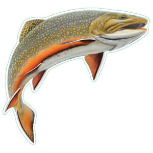 Earth Sky + Water Brook Trout Nature Sticker