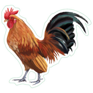 Earth Sky + Water Bantam Chicken Nature Sticker