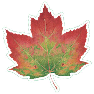 Earth Sky + Water Red Maple Nature Sticker