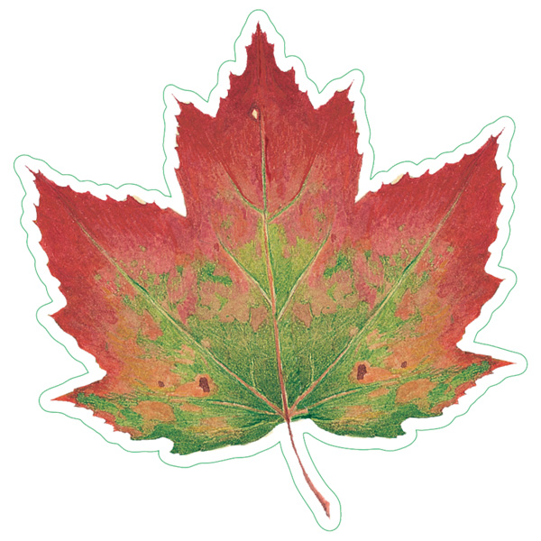 Earth Sky + Water Red Maple Nature Sticker 1 Earth Sky + Water Red Maple Nature Sticker