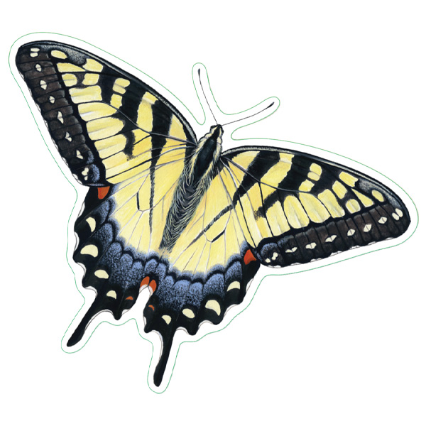 Earth Sky + Water Tiger Swallowtail Nature Sticker 1 Earth Sky + Water Tiger Swallowtail Nature Sticker