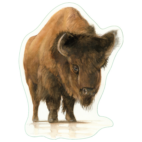 Earth Sky + Water Bison Nature Sticker 1 Earth Sky + Water Bison Nature Sticker