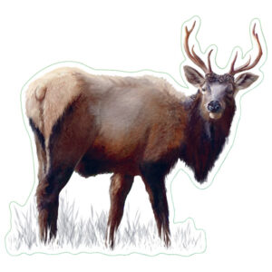 Earth Sky + Water Elk Nature Sticker